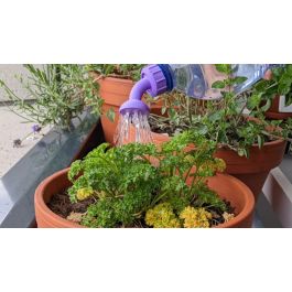 Bouchon de bouteille d’arrosage