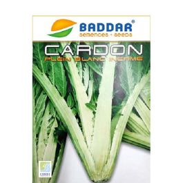 SEMENCE CARDON 10G BADDAR