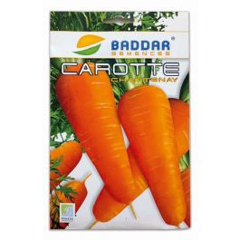 SEMENCE CAROTTE CHANTENAY 20G BADDAR