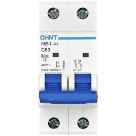 DISJONCTEUR NB1-63 2P C10 6KA CHINT
