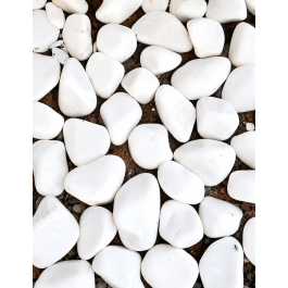 Galet blanc Italie EU COSY - DC0106000 - Blanc - 20 KG - 3/8 cm