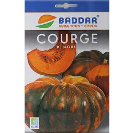 SEMENCE COURGE BEJAOUI BADDAR