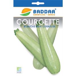 SEMENCE COURGETTE BLANCHE BADDAR