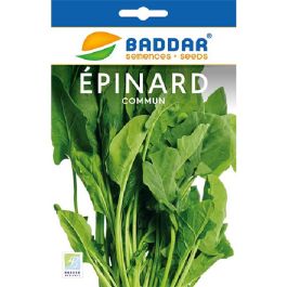 SEMENCE EPINARD COMMUN 20G BADDAR