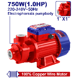 Electropompe 1cv 1"h52m 50l/mn EMTOP EWPPV07501