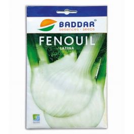 SEMENCE FENOUIL LATINA 10 G BADDAR