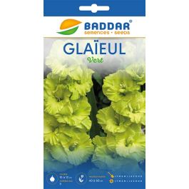 SACHET GLAIEUL VERT BADDAR