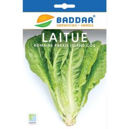 SEMENCE LAITUE ROMAINE 2G BADDAR