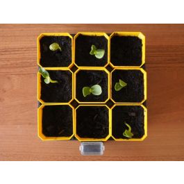 Bac à semis – jusqu’à 9 pots à la fois