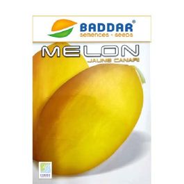 SEMENCE MELON JAUNE CANARI BADDAR