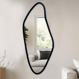 Miroir Shape 50/125 cm