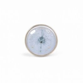 Ampoule LED POOL STAR Blanc - PAR 56  25W