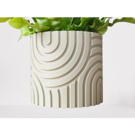 Pot de plantes & fleurs