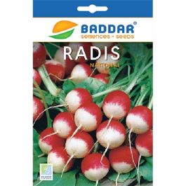 SEMENCE RADIS NATIONAL BADDAR