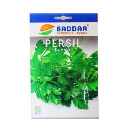 SEMENCE PERSIL COMMUN BADDAR