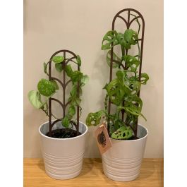 Support de Plantes - Modulaire - Blanc