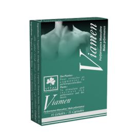 Complément - VITAL - Viamen - 15 Gélules