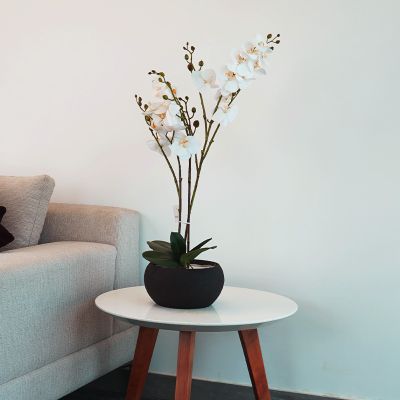 Plante Artificielle Orchidée - Arkan Bloom - 11-57N - Pot Noir - céramique ovale