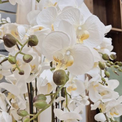 Plante Artificielle Orchidée - Arkan Bloom - 11-57N - Pot Noir - 20 cm 