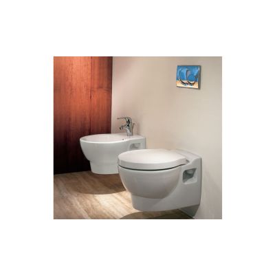 Cuvette suspendue JACOB DELAFON - E1585 - OVE – 54x36cm