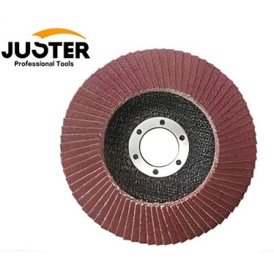 Pack de 5 Disques à Lamelles - 115mm