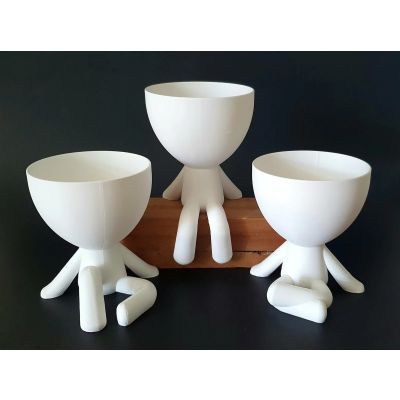 3 Pots de plantes