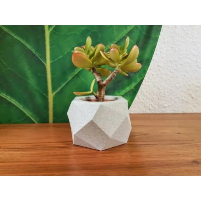 Pot de fleurs
