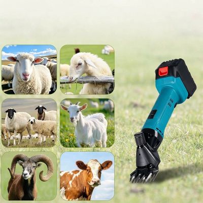 Tondeuse Électrique Sans Fil Moutons