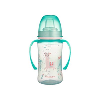 Tasse Anti-Déversement Canpol Vert 240ml -... | Arkan.tn