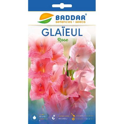 Glaïeul Rose Baddar - Prix Tunisie | Arkan.tn