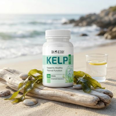 BIOHERBS Kelp Iode Complément Alimentaire Énergie & Métabolisme 30 Comprimés