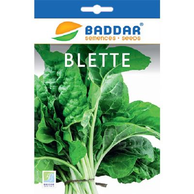 Semence Blette Baddar - Prix Tunisie | Arkan.tn