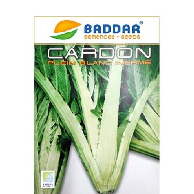 Cardon BADDAR - Prix Tunisie | Arkan.tn