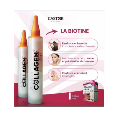 Booster Collagène Sans Sucre - Castor - Peau Ferme & Anti-Âge