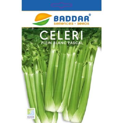 Semence Céleri Baddar - Prix Tunisie | Arkan.tn