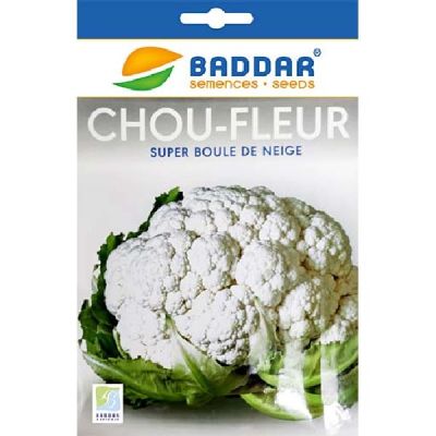Chou Fleur Boule de Neige - Prix Tunisie | Arkan.tn