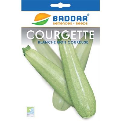Courgette Blanche Baddar - Prix Tunisie | Arkan.tn