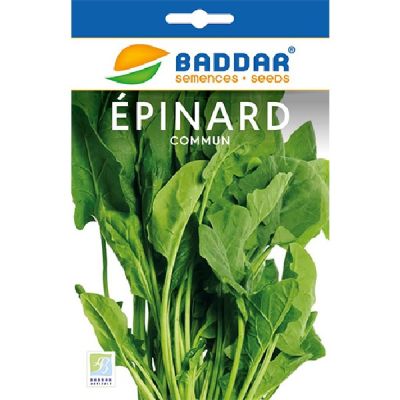 Épinard Commun - Prix Tunisie | Arkan.tn
