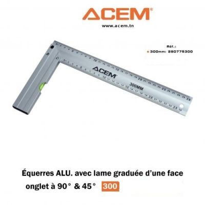 Equerre graduée d'une face onglet à 45° 300mm 280775300 gris - ACEM