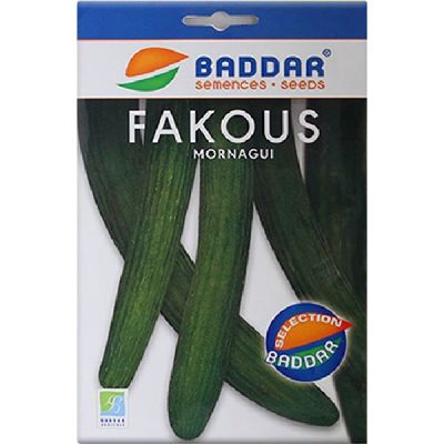Semence Fakous BADDAR - Prix Tunisie | Arkan.tn