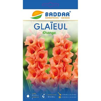 Glaïeul Orange Baddar - Prix Tunisie | Arkan.tn
