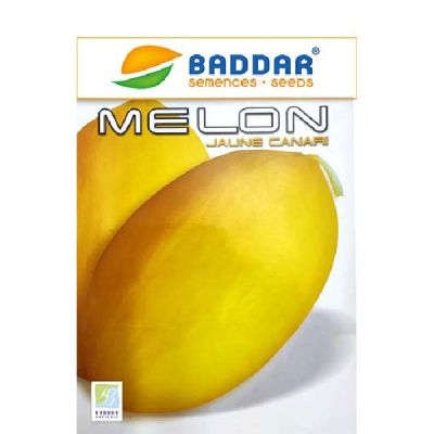SEMENCE MELON JAUNE CANARI BADDAR - Prix Tunisie | Arkan.tn