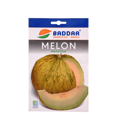 Semence Melon Maazoun Baddar - Prix Tunisie | Arkan.tn