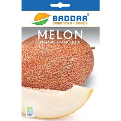 Melon Ananas Amerique - Prix Tunisie | Arkan.tn