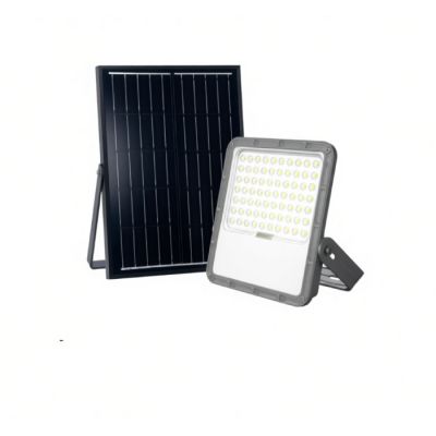 Projecteur Solaire LED - TK02-H - 100W - Avec Panneau Solaire