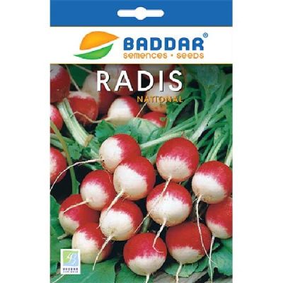Radis National Baddar - Prix Tunisie | Arkan.tn