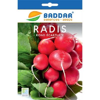 Radis Rond Ecarlate - Prix Tunisie | Arkan.tn