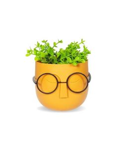Plante Artificielle avec lunette - avec pot en plastique - 14 X 12 Cm