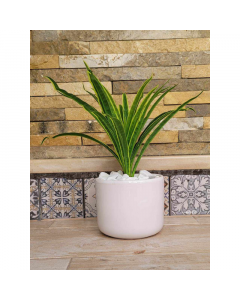 Plante artificielle avec pot en céramique  - RF50 - Hauteur entre 35 et 40CM 