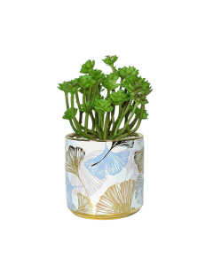 Plante Artificielle - avec pot en céramique -18 x 8 cm